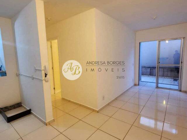 #APV1256 - Apartamento para Venda em Franca - SP - 1