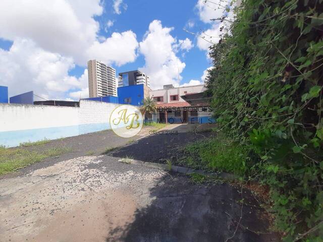 #PCL1435 - Ponto Comercial para Locação em Franca - SP - 1